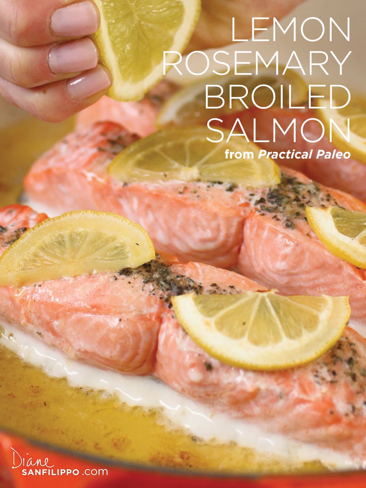 Paleo Lemon Rosemary Salmon Recipe 