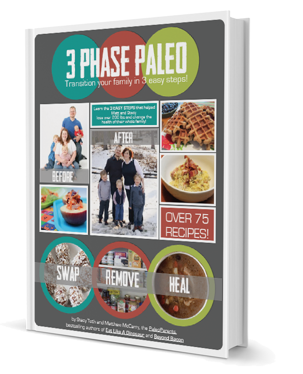 Book Review: 3 Phase Paleo Transition Your Family in 3 Easy Steps | Balanced Bites 