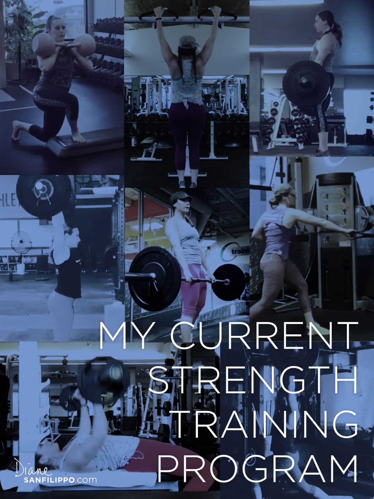 Strength Training Program | Diane Sanfilippo