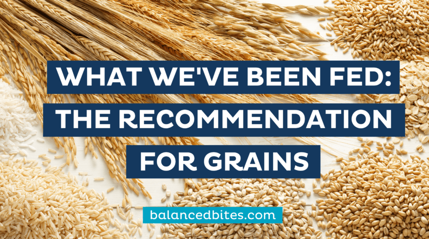 What We've Been Fed: The Recommendation for Grains | Balanced Bites