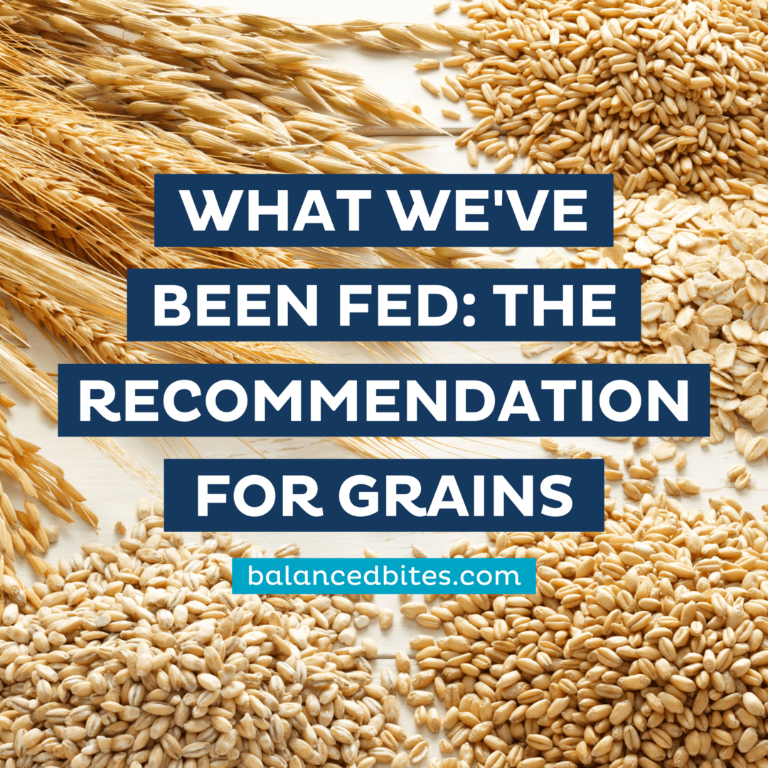 What We've Been Fed: The Recommendation for Grains | Balanced Bites ...